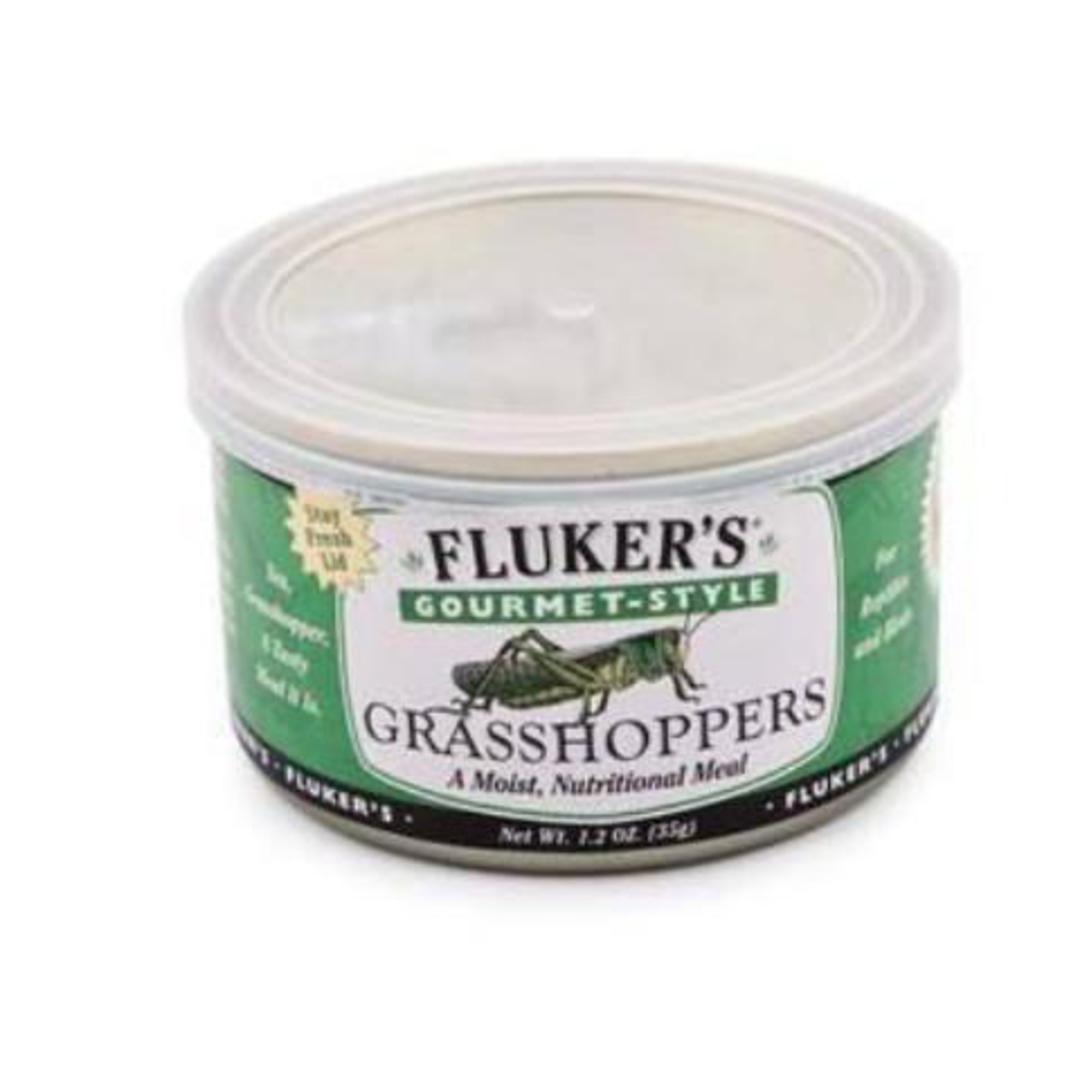 Fluker's Gourmet Grasshoppers image 0
